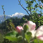 Apartament Cerne Bled