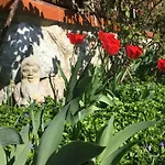 Cerne Apartament *