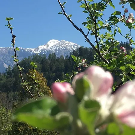 Apartment Cerne Bled