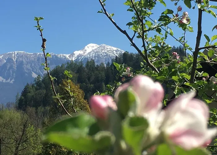 Apartmán černe Bled